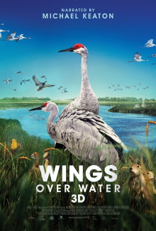 Wings Over Water Trailer