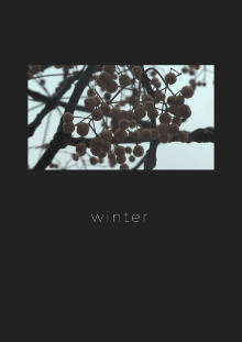Winter Trailer