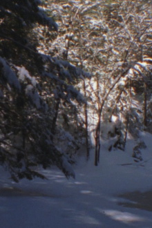 Winter Beyond Winter Trailer