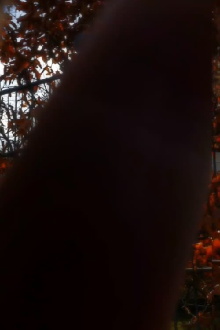 Winter for Rose Trailer