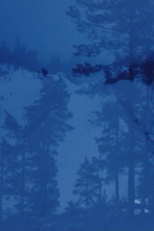 Winterfarbe II Trailer