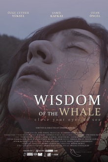 Wisdom of the Whale Trailer