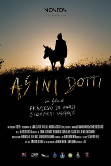 Wise Donkeys Trailer