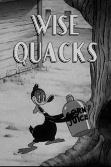 Wise Quacks Trailer