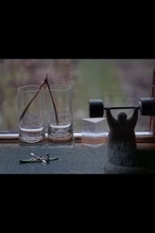 Wishbone Trailer