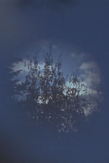 Within Trailer
