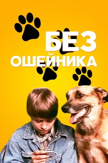 Without a Collar Trailer