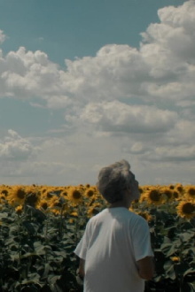 Without Trailer