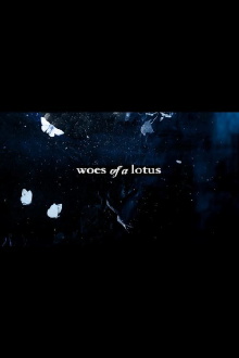 Woes of a Lotus Trailer