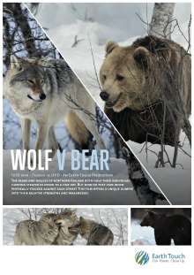 Wolf vs Bear Trailer