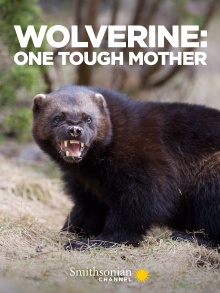 Wolverine: One Tough Mother Trailer