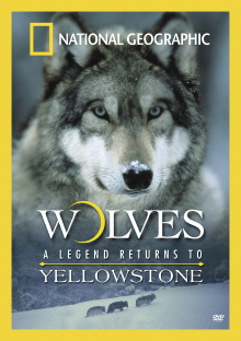 Wolves: A Legend Returns to Yellowstone Trailer