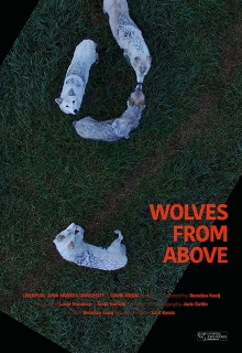 Wolves From Above Trailer