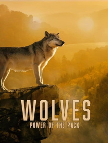 Wolves: Power of the Pack Trailer