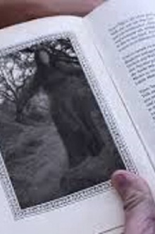 Woman in the Book Trailer