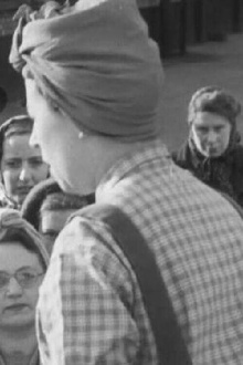 Women After the War Trailer