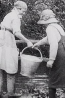 Women Farm Workers Trailer