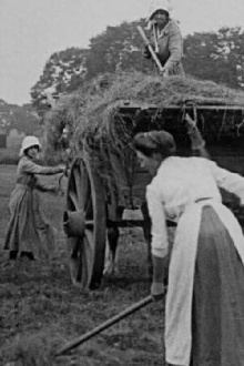 Women Hay Makers Trailer