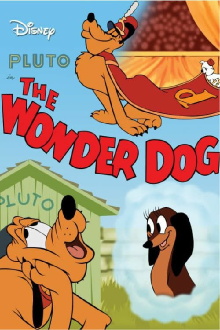 Wonder Dog Trailer