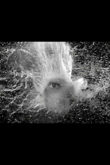 Wonderful Trailer