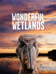 Wonderful Wetlands Trailer