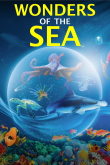 Wonders of the Sea Trailer