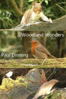 Woodland Wonders Trailer