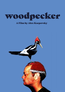 Woodpecker Trailer