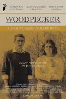 Woodpecker Trailer