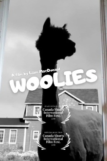 Woolies Trailer