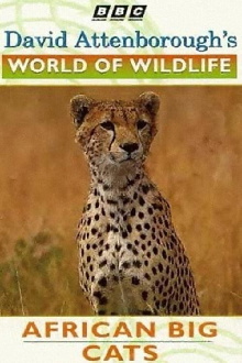 World of Wildlife: African Big Cats Trailer