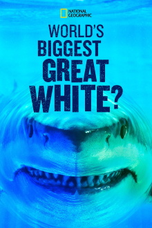 World's Biggest Great White? Trailer