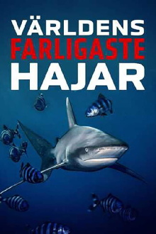 World's Deadliest Sharks Trailer