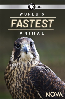 World's Fastest Animal Trailer