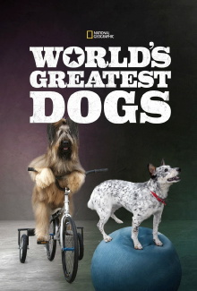 World's Greatest Dogs Trailer