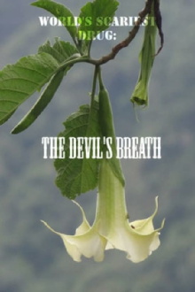 World's Scariest Drug: The Devil's Breath Trailer