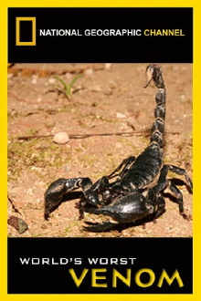 World's Worst Venom Trailer