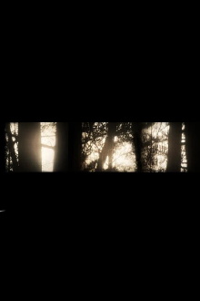 Worth More Standing Trailer