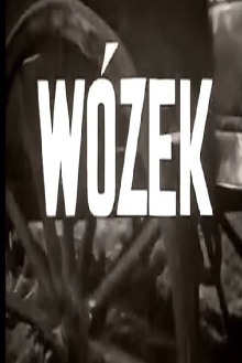 Wózek Trailer