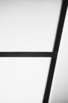 X Trailer