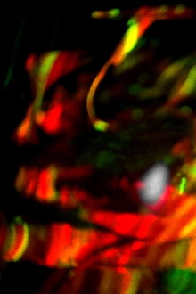 Xiuhtecuhtli Trailer