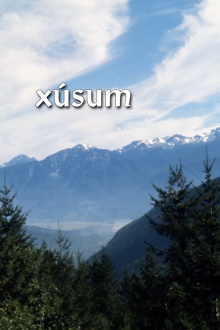 Xusum Trailer