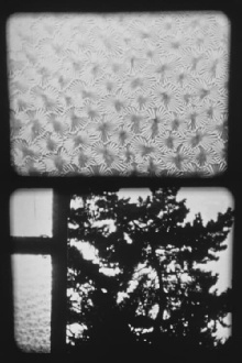 XVI/84 Fenster III Trailer