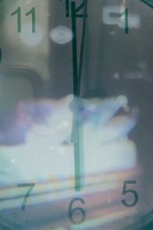 xx xxx Trailer