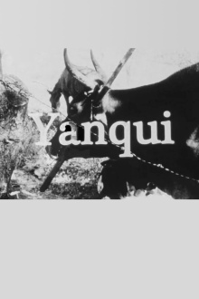 Yanqui WALKER and the OPTICAL REVOLUTION Trailer