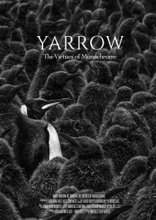 Yarrow: The Virtues of Monochrome Trailer