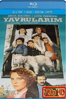 Yavrularım Trailer