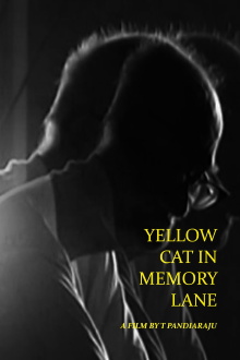 Yellow Cat in Memory Lane Trailer