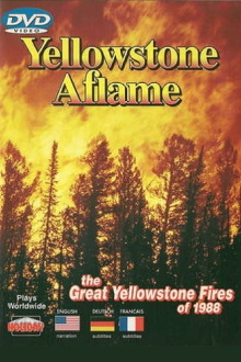 Yellowstone Aflame Trailer