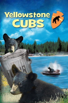 Yellowstone Cubs Trailer